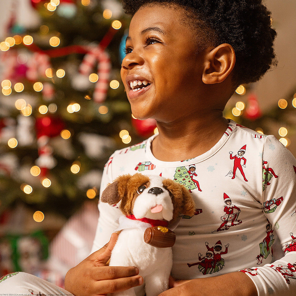 Elf Pets: A St. Bernard Tradition - Image 2